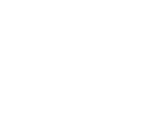 Logo Triumph Strasbourg